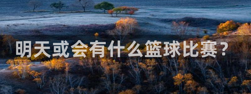 明天或会有什么篮球比赛？