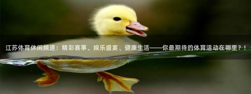 江苏体育休闲频道：精彩赛事、娱乐盛宴、健康生活——你最期待的体育活动在哪里？!