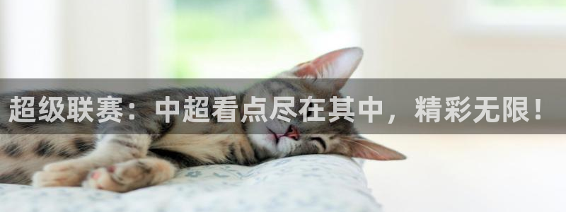 超级联赛：中超看点尽在其中，精彩无限！