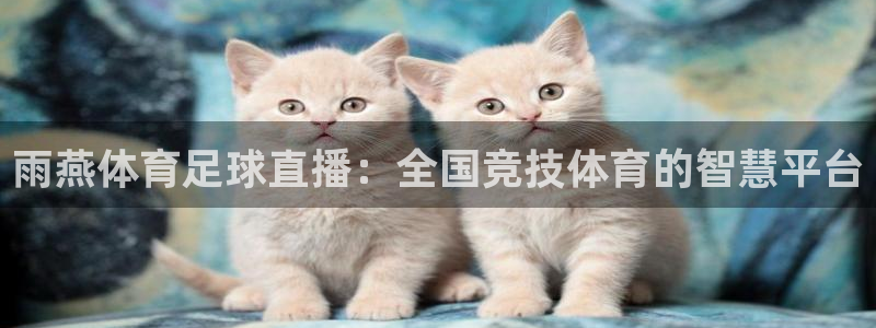 雨燕体育足球直播：全国竞技体育的智慧平台