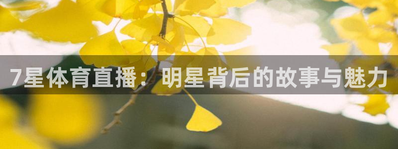 7星体育直播：明星背后的故事与魅力