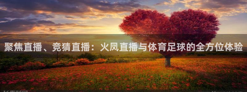 聚焦直播、竞猜直播：火凤直播与体育足球的全方位体验