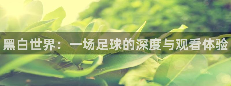 黑白世界：一场足球的深度与观看体验