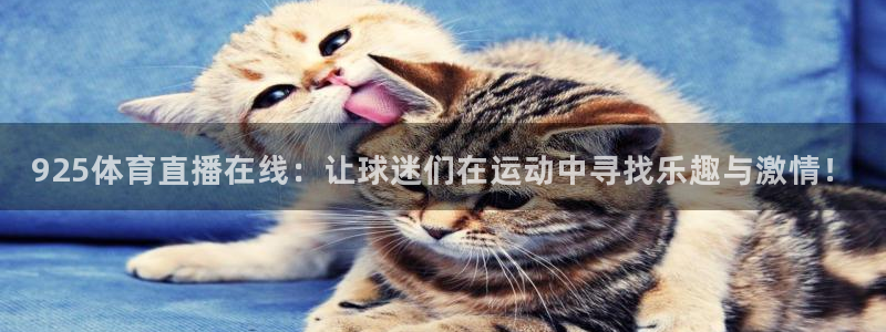 925体育直播在线：让球迷们在运动中寻找乐趣与激情！