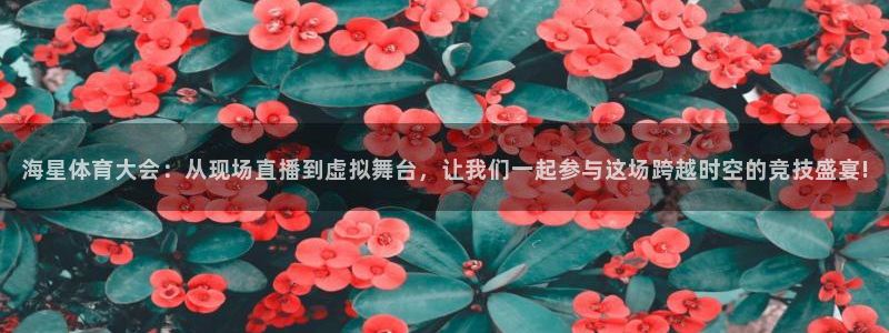 海星体育大会：从现场直播到虚拟舞台，让我们一起参与这场跨越时空的竞技盛宴!