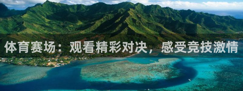 体育赛场：观看精彩对决，感受竞技激情
