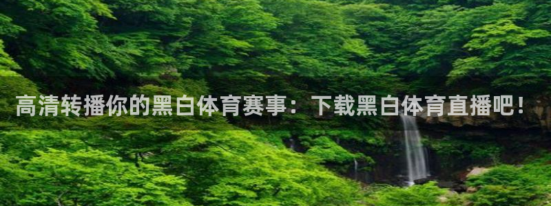 高清转播你的黑白体育赛事：下载黑白体育直播吧！