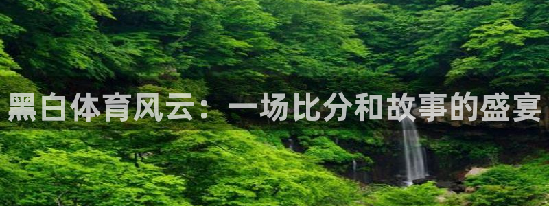 黑白体育风云：一场比分和故事的盛宴