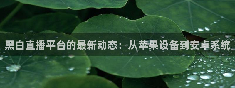 黑白直播平台的最新动态：从苹果设备到安卓系统