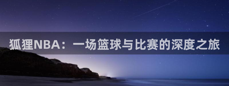 狐狸NBA：一场篮球与比赛的深度之旅