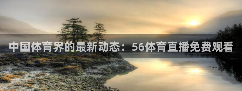 中国体育界的最新动态：56体育直播免费观看