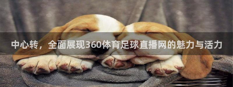 中心转，全面展现360体育足球直播网的魅力与活力