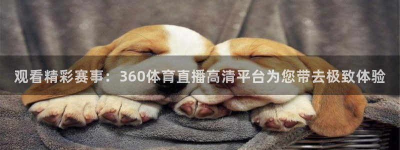 观看精彩赛事：360体育直播高清平台为您带去极致体验
