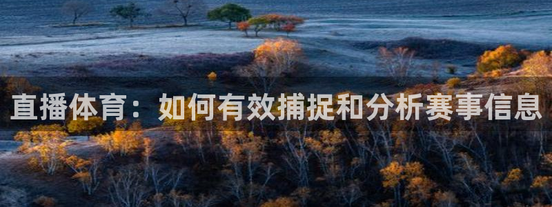 直播体育：如何有效捕捉和分析赛事信息