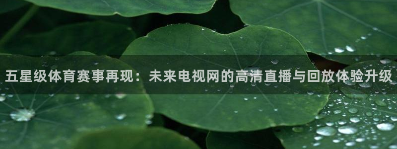 五星级体育赛事再现：未来电视网的高清直播与回放体验升级