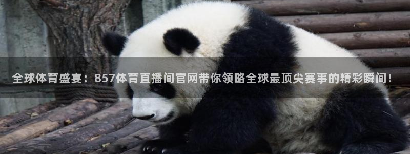 全球体育盛宴：857体育直播间官网带你领略全球最顶尖赛事的精彩瞬间！