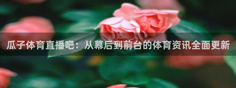 瓜子体育直播吧：从幕后到前台的体育资讯全面更新