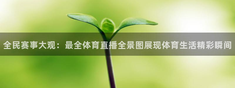 全民赛事大观：最全体育直播全景图展现体育生活精彩瞬间