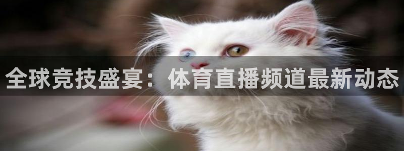 全球竞技盛宴：体育直播频道最新动态