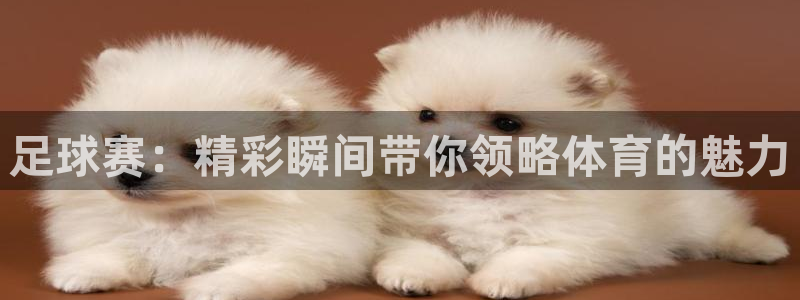足球赛：精彩瞬间带你领略体育的魅力