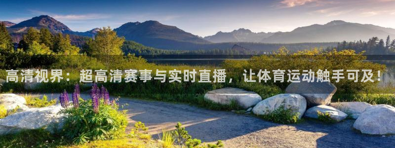 高清视界：超高清赛事与实时直播，让体育运动触手可及！