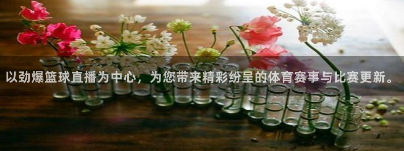 以劲爆篮球直播为中心，为您带来精彩纷呈的体育赛事与比赛更新。