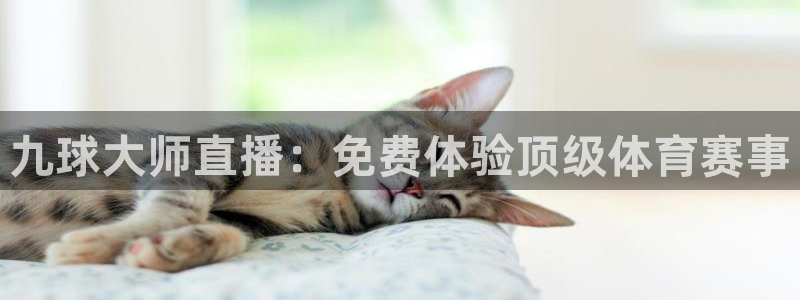 九球大师直播：免费体验顶级体育赛事