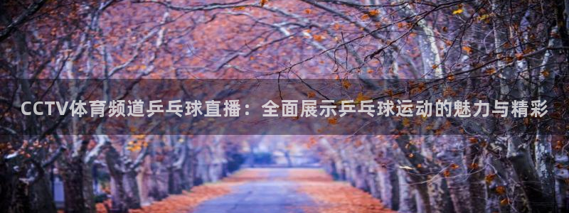 CCTV体育频道乒乓球直播：全面展示乒乓球运动的魅力与精彩