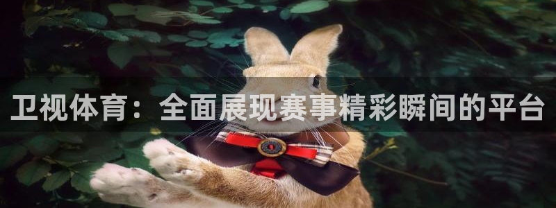 卫视体育：全面展现赛事精彩瞬间的平台