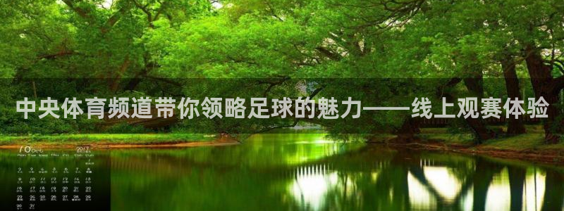 中央体育频道带你领略足球的魅力——线上观赛体验