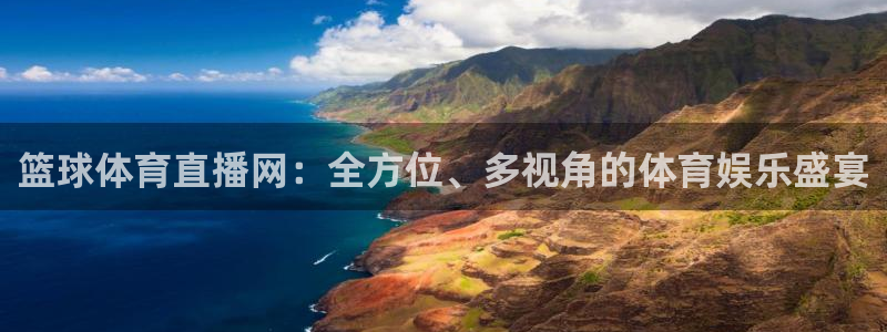 篮球体育直播网：全方位、多视角的体育娱乐盛宴