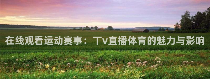 在线观看运动赛事：丅v直播体育的魅力与影响