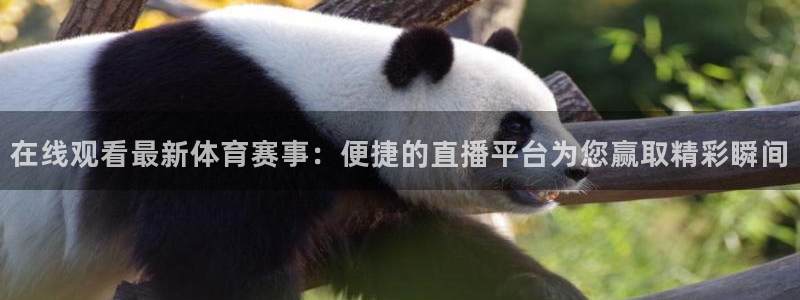 在线观看最新体育赛事：便捷的直播平台为您赢取精彩瞬间