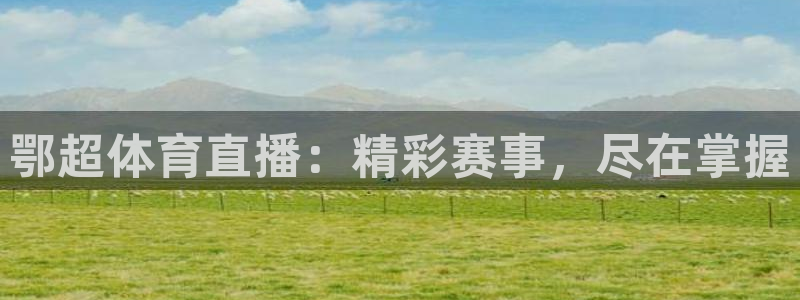鄂超体育直播：精彩赛事，尽在掌握