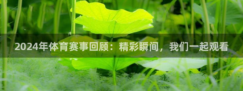 2024年体育赛事回顾：精彩瞬间，我们一起观看