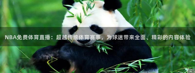 NBA免费体育直播：超越传统体育赛事，为球迷带来全面、精彩的内容体验