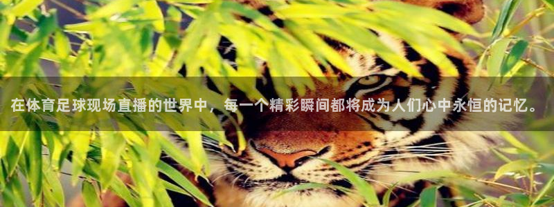 在体育足球现场直播的世界中，每一个精彩瞬间都将成为人们心中永恒的记忆。