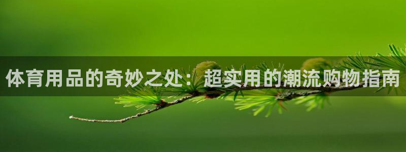 体育用品的奇妙之处：超实用的潮流购物指南