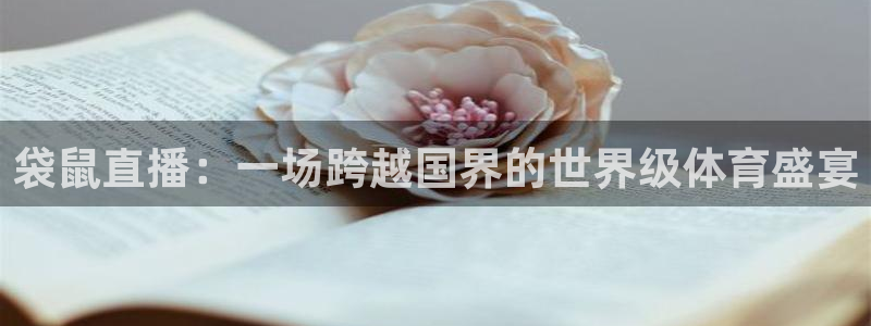 袋鼠直播：一场跨越国界的世界级体育盛宴