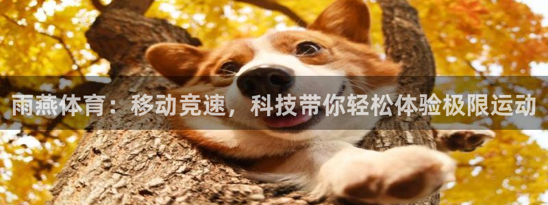 雨燕体育：移动竞速，科技带你轻松体验极限运动