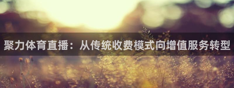 聚力体育直播：从传统收费模式向增值服务转型